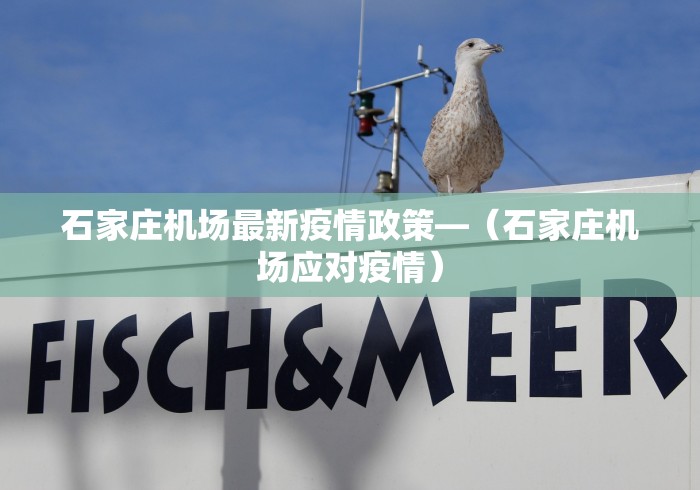 石家庄机场最新疫情政策—（石家庄机场应对疫情）