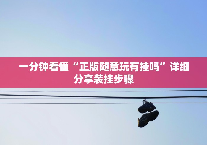 一分钟看懂“正版随意玩有挂吗”详细分享装挂步骤
