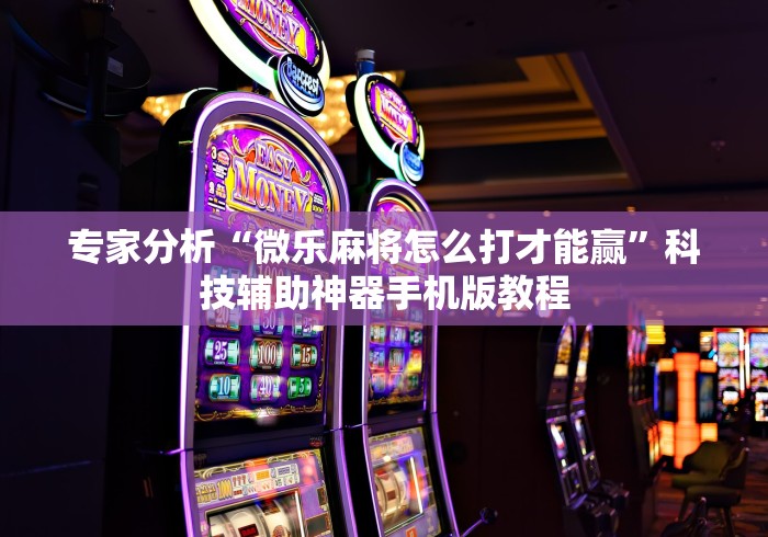 专家分析“微乐麻将怎么打才能赢”科技辅助神器手机版教程
