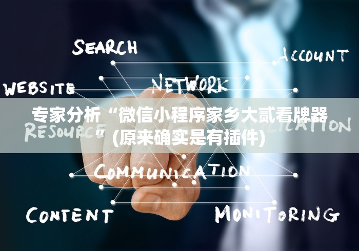 专家分析“微信小程序家乡大贰看牌器	”(原来确实是有插件)