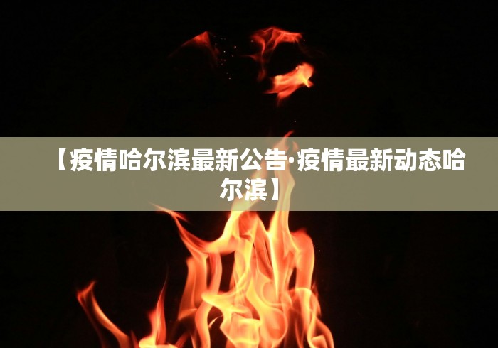 【疫情哈尔滨最新公告·疫情最新动态哈尔滨】