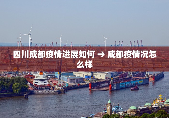 四川成都疫情进展如何 → 成都疫情况怎么样