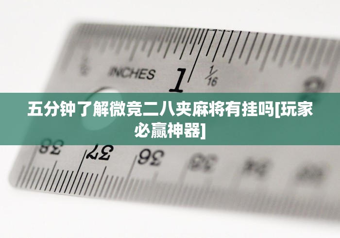 五分钟了解微竞二八夹麻将有挂吗[玩家必赢神器]