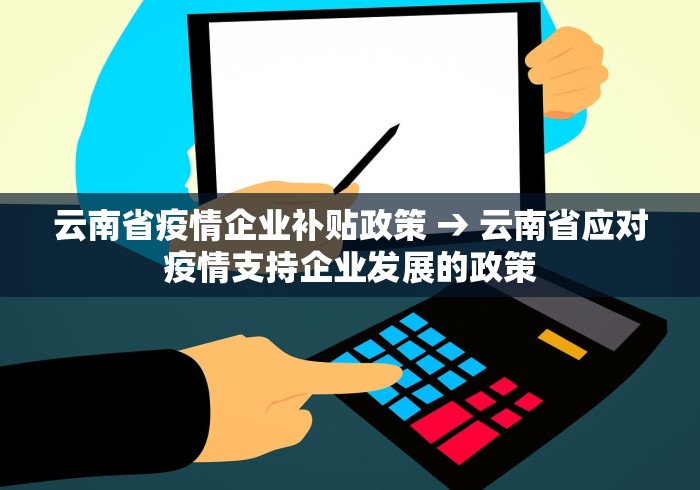 云南省疫情企业补贴政策 → 云南省应对疫情支持企业发展的政策