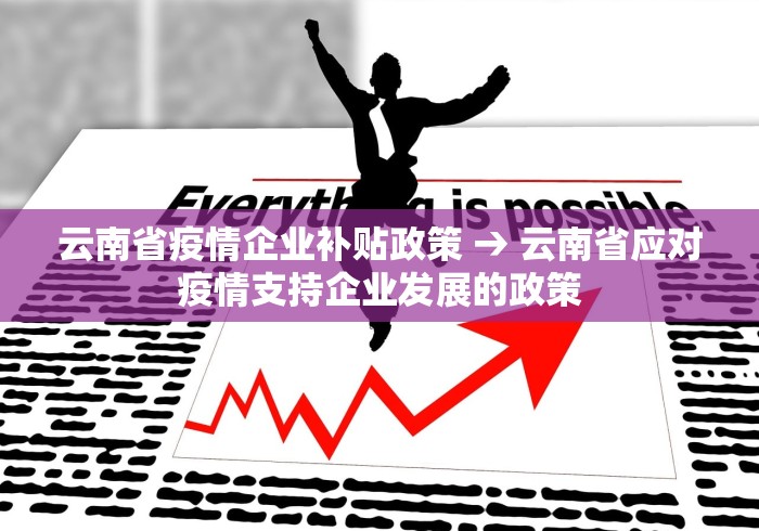 云南省疫情企业补贴政策 → 云南省应对疫情支持企业发展的政策