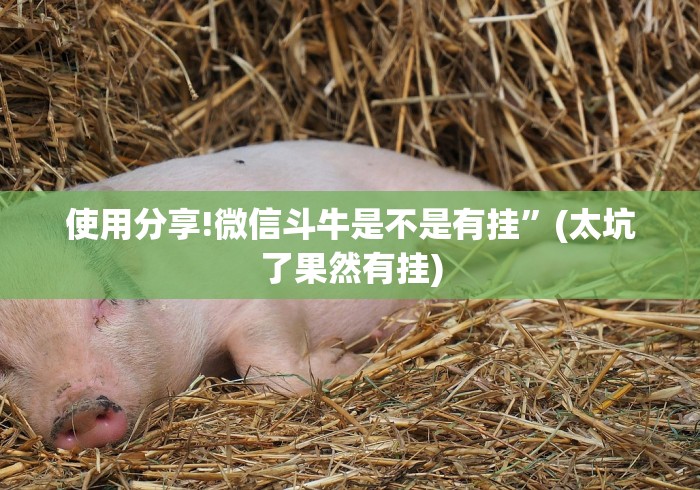使用分享!微信斗牛是不是有挂”(太坑了果然有挂)