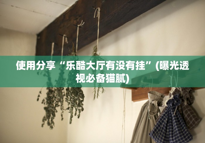 使用分享“乐酷大厅有没有挂”(曝光透视必备猫腻)
