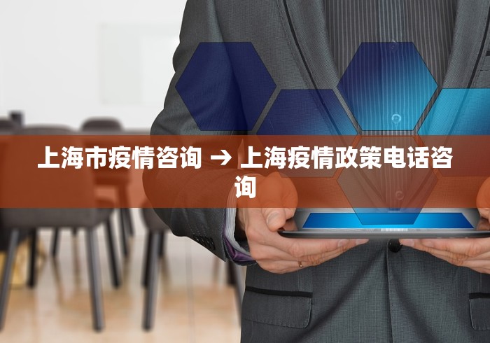 上海市疫情咨询 → 上海疫情政策电话咨询