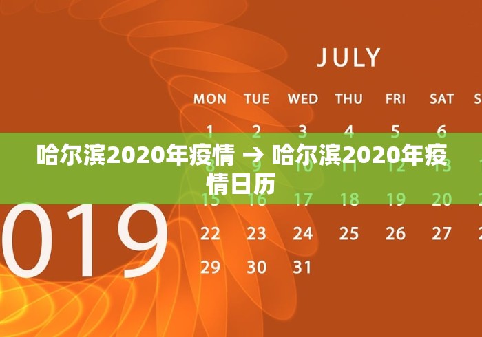哈尔滨2020年疫情 → 哈尔滨2020年疫情日历