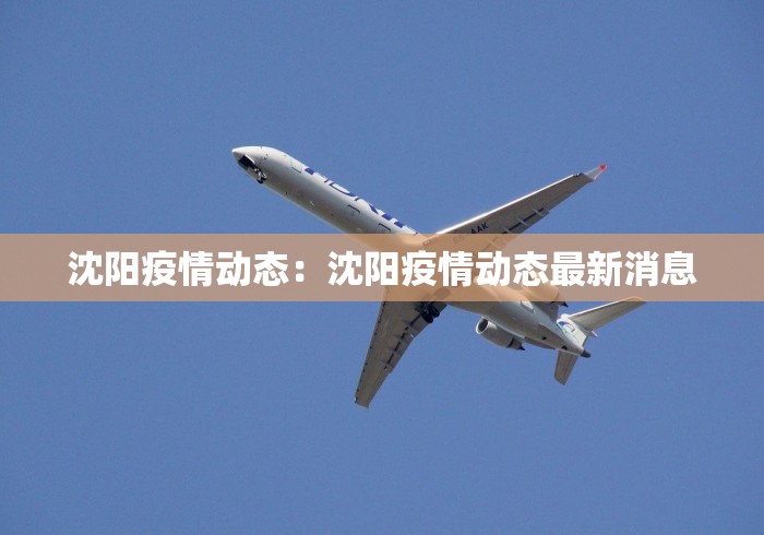 沈阳疫情动态：沈阳疫情动态最新消息