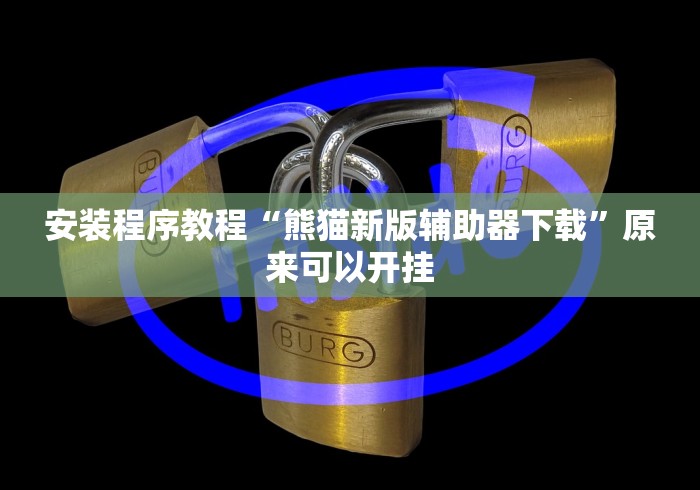 安装程序教程“熊猫新版辅助器下载”原来可以开挂