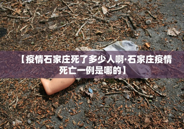 【疫情石家庄死了多少人啊·石家庄疫情死亡一例是哪的】