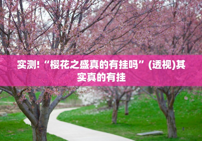 实测!“樱花之盛真的有挂吗”(透视)其实真的有挂
