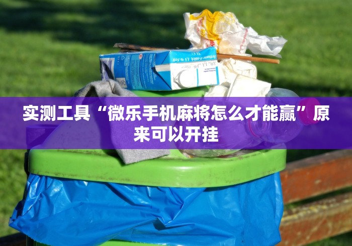 实测工具“微乐手机麻将怎么才能赢”原来可以开挂