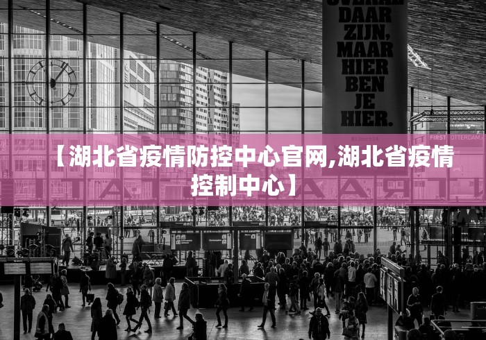 【湖北省疫情防控中心官网,湖北省疫情控制中心】