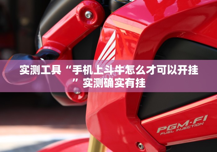 实测工具“手机上斗牛怎么才可以开挂”实测确实有挂