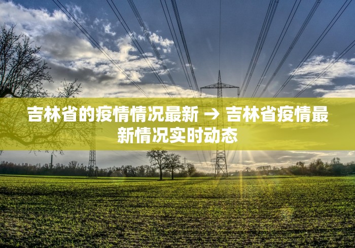 吉林省的疫情情况最新 → 吉林省疫情最新情况实时动态