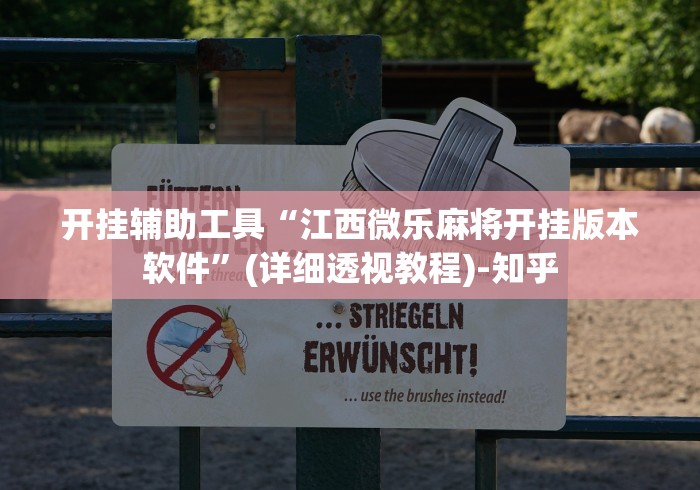 开挂辅助工具“江西微乐麻将开挂版本软件”(详细透视教程)-知乎