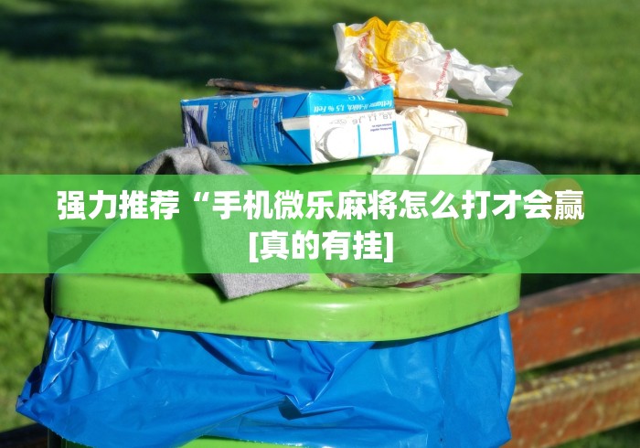 强力推荐“手机微乐麻将怎么打才会赢[真的有挂]