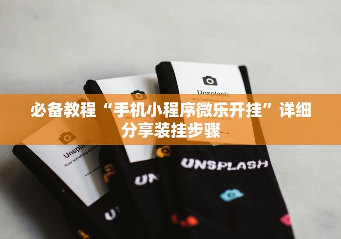 必备教程“手机小程序微乐开挂”详细分享装挂步骤