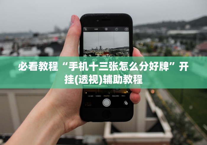 必看教程“手机十三张怎么分好牌	”开挂(透视)辅助教程