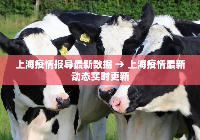 上海疫情报导最新数据 → 上海疫情最新动态实时更新