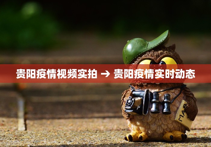 贵阳疫情视频实拍 → 贵阳疫情实时动态