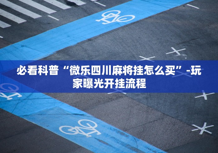 必看科普“微乐四川麻将挂怎么买”-玩家曝光开挂流程