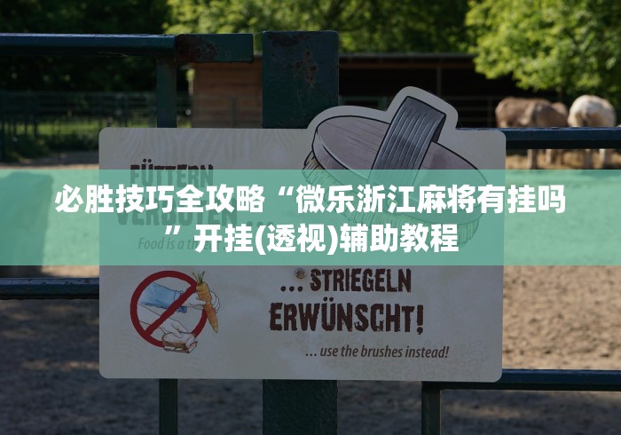 必胜技巧全攻略“微乐浙江麻将有挂吗”开挂(透视)辅助教程
