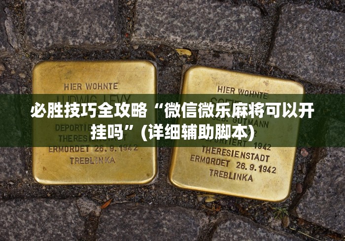 必胜技巧全攻略“微信微乐麻将可以开挂吗”(详细辅助脚本)