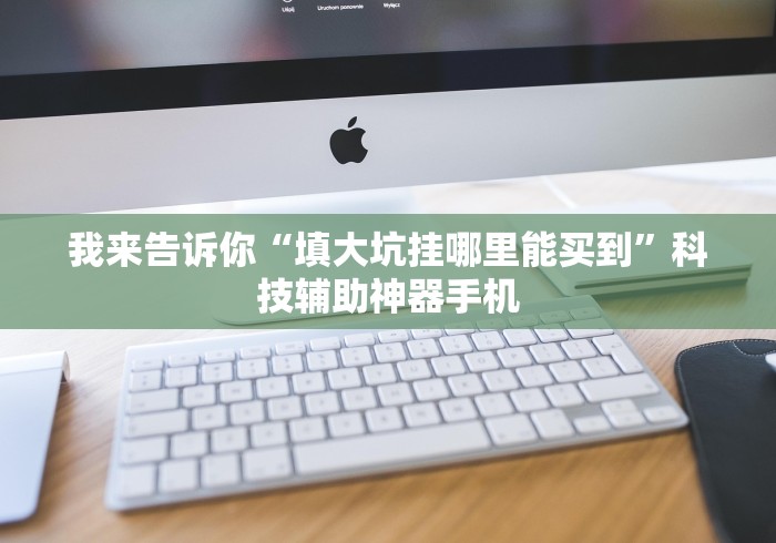 我来告诉你“填大坑挂哪里能买到”科技辅助神器手机