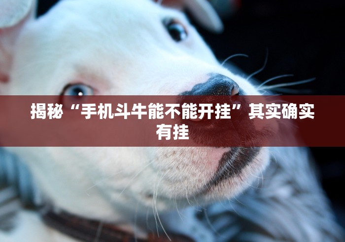 揭秘“手机斗牛能不能开挂”其实确实有挂