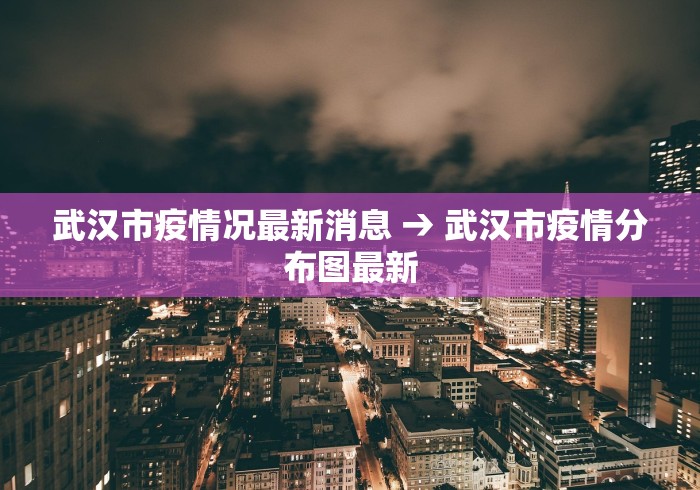 武汉市疫情况最新消息 → 武汉市疫情分布图最新