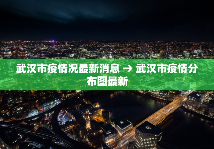 武汉市疫情况最新消息 → 武汉市疫情分布图最新