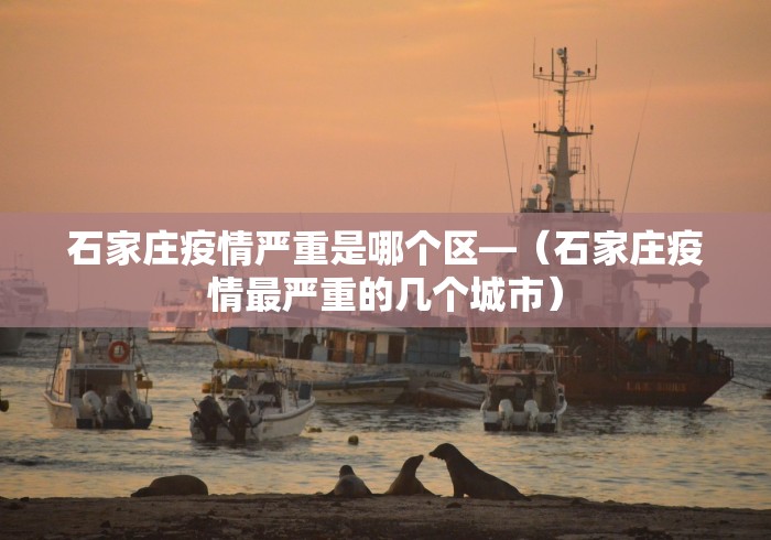 石家庄疫情严重是哪个区—（石家庄疫情最严重的几个城市）