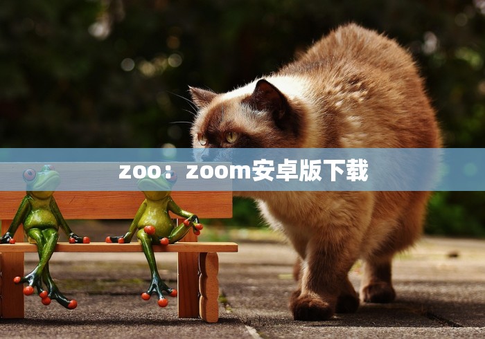 zoo：zoom安卓版下载