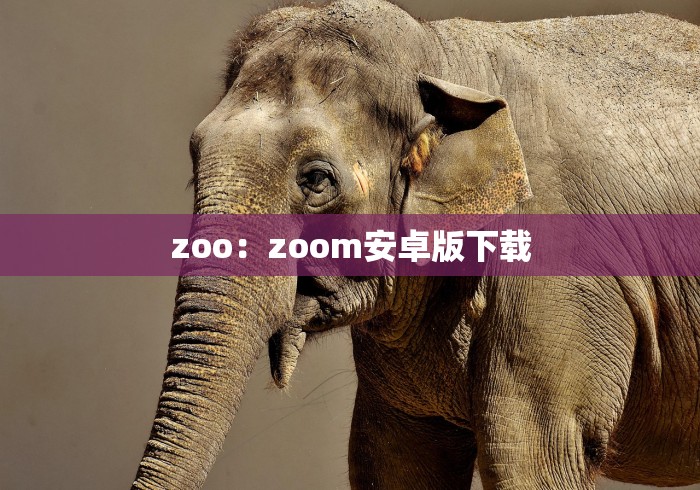 zoo：zoom安卓版下载