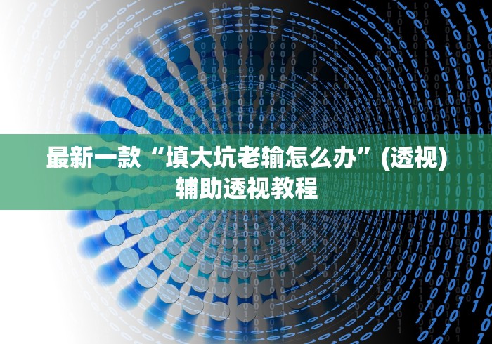 最新一款“填大坑老输怎么办”(透视)辅助透视教程