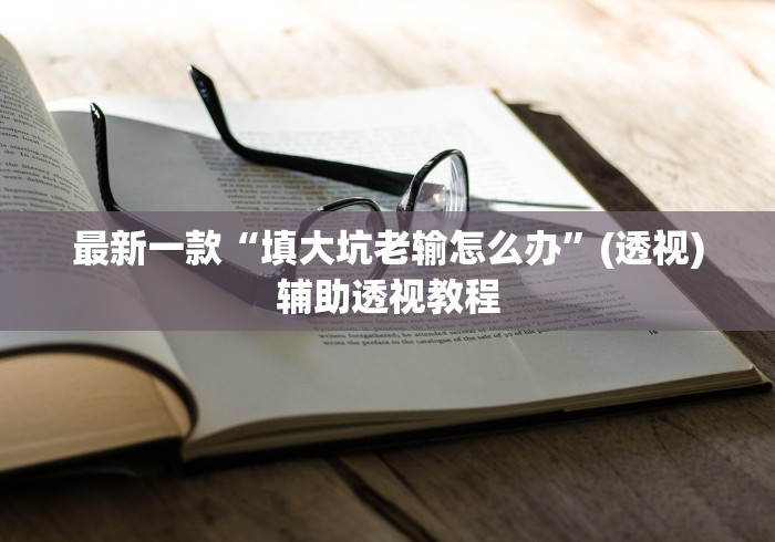 最新一款“填大坑老输怎么办”(透视)辅助透视教程
