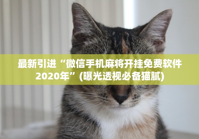 最新引进“微信手机麻将开挂免费软件2020年”(曝光透视必备猫腻)