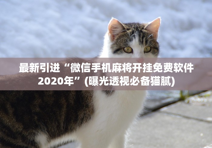 最新引进“微信手机麻将开挂免费软件2020年”(曝光透视必备猫腻)