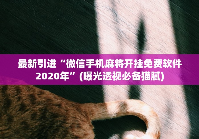 最新引进“微信手机麻将开挂免费软件2020年	”(曝光透视必备猫腻)