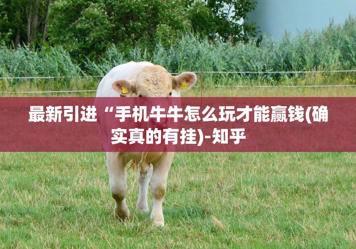 最新引进“手机牛牛怎么玩才能赢钱(确实真的有挂)-知乎