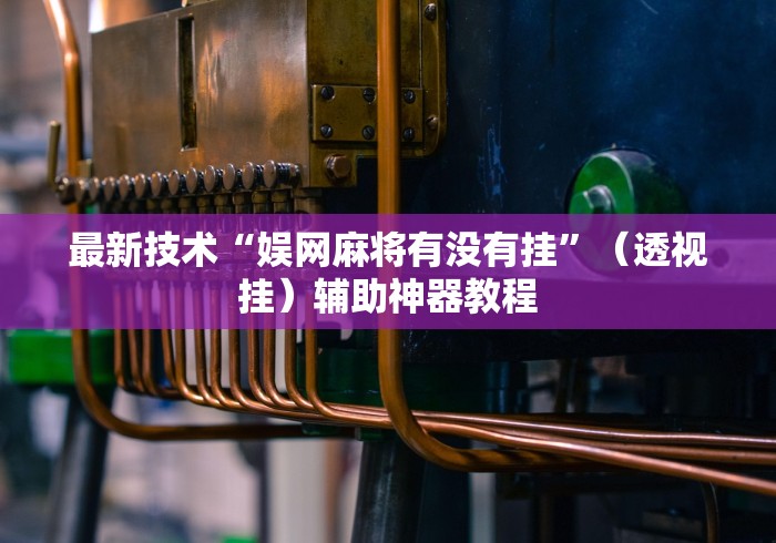 最新技术“娱网麻将有没有挂”（透视挂）辅助神器教程