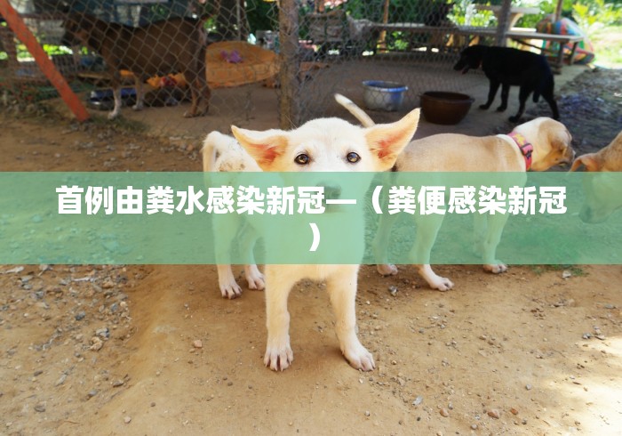首例由粪水感染新冠—（粪便感染新冠）