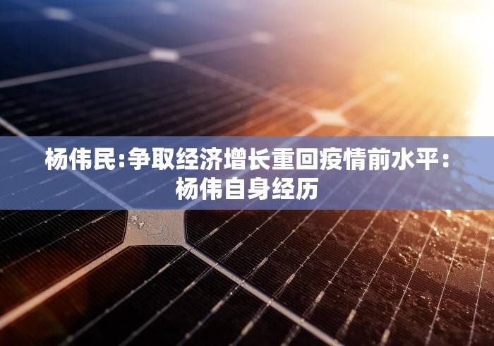 杨伟民:争取经济增长重回疫情前水平：杨伟自身经历