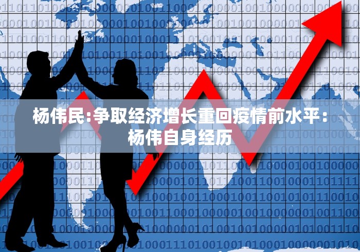 杨伟民:争取经济增长重回疫情前水平：杨伟自身经历