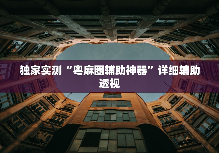 独家实测“粤麻圈辅助神器”详细辅助透视