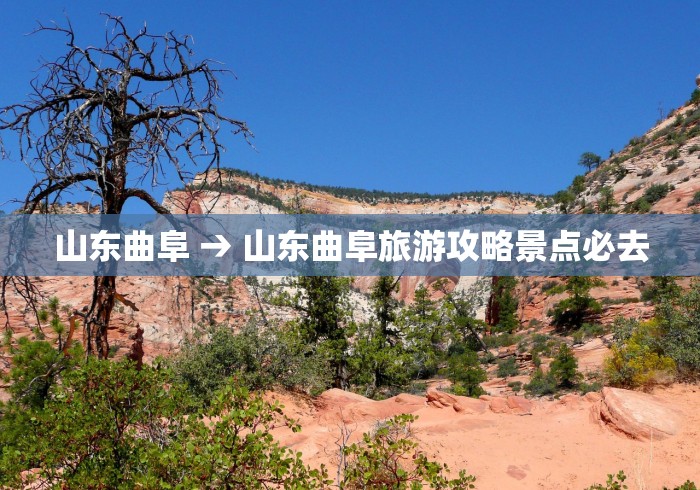 山东曲阜 → 山东曲阜旅游攻略景点必去