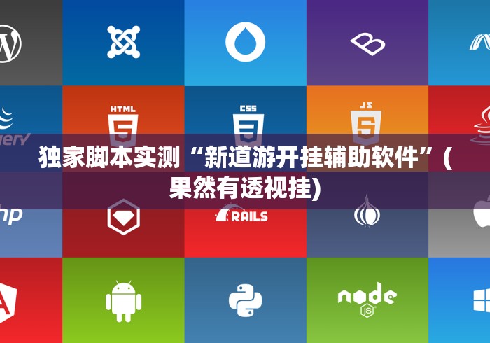 独家脚本实测“新道游开挂辅助软件	”(果然有透视挂)